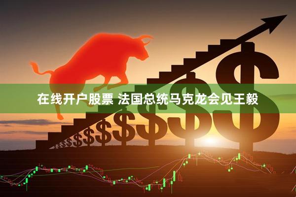在线开户股票 法国总统马克龙会见王毅