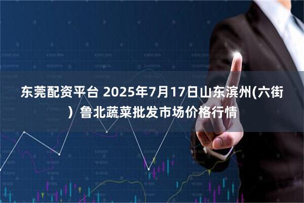 东莞配资平台 2025年7月17日山东滨州(六街）鲁北蔬菜批发市场价格行情